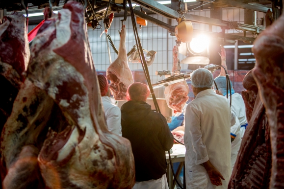 imagefilm_fleischerei_3