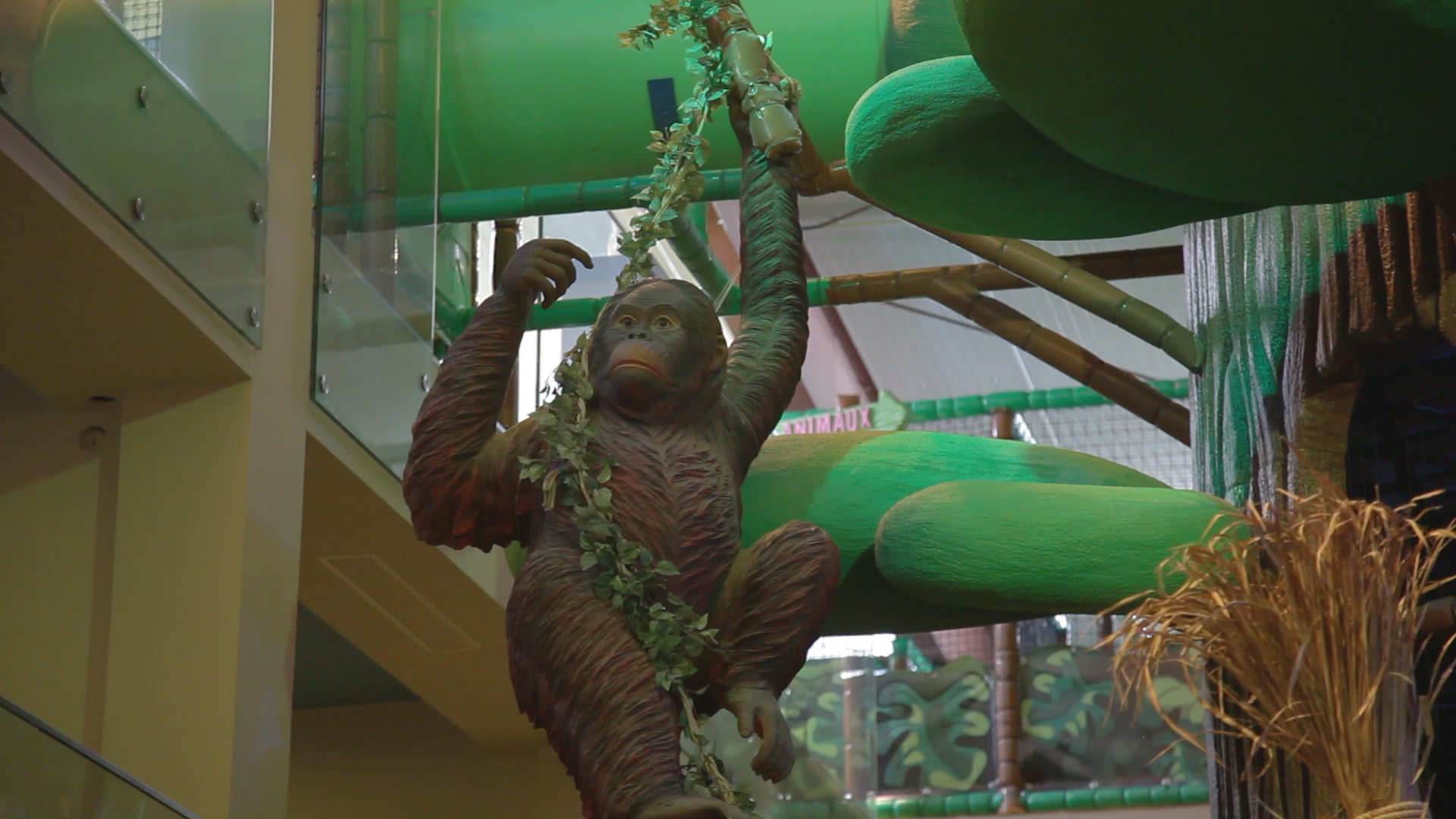 mvi_1455-mov-standbild001