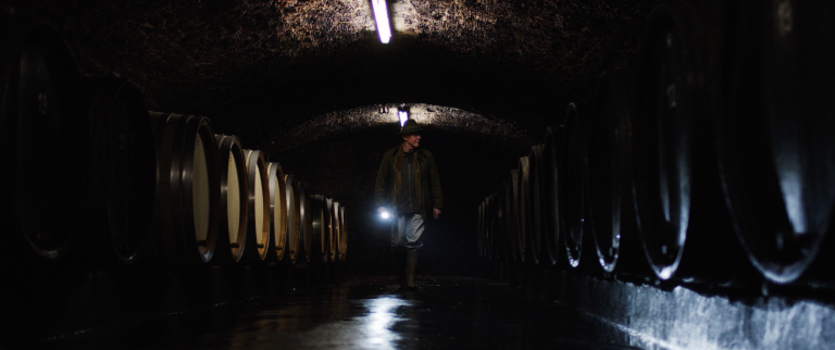 Imagefilm Gin für Ferdinand Saarland